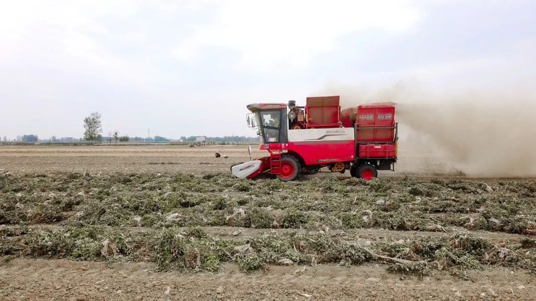 泰安東平呂新春：一小時作業(yè)十二畝 信賴中聯(lián)日進斗金(圖2)