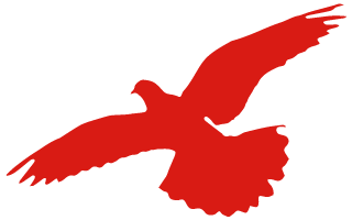 唐山豐南劉賀海:年收入翻兩番 中聯(lián)收獲花生機(jī)帶來(lái)意外之喜 唐山豐南劉賀海:年收入翻兩番 中聯(lián)收獲花生機(jī)帶來(lái)意外之喜 (圖2)