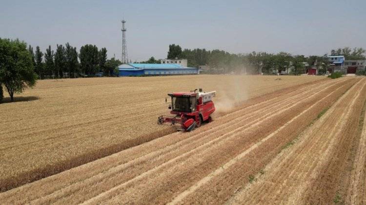 中聯(lián)收獲經(jīng)銷商的堅(jiān)守:永保服務(wù)品質(zhì) 延續(xù)品牌榮耀