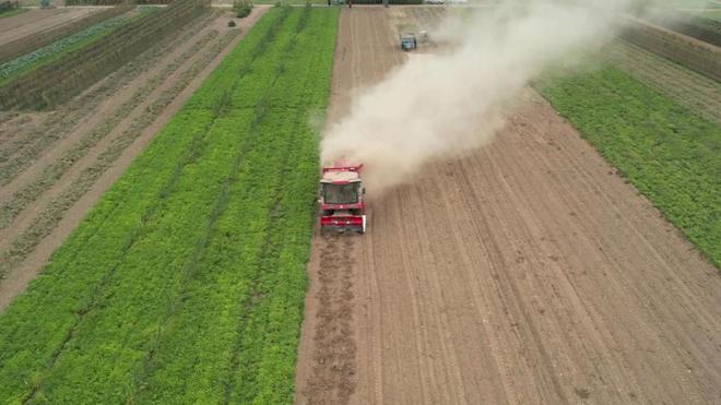 柴海峰:
中聯(lián)收獲花生機(jī) 成績顯著獲口碑