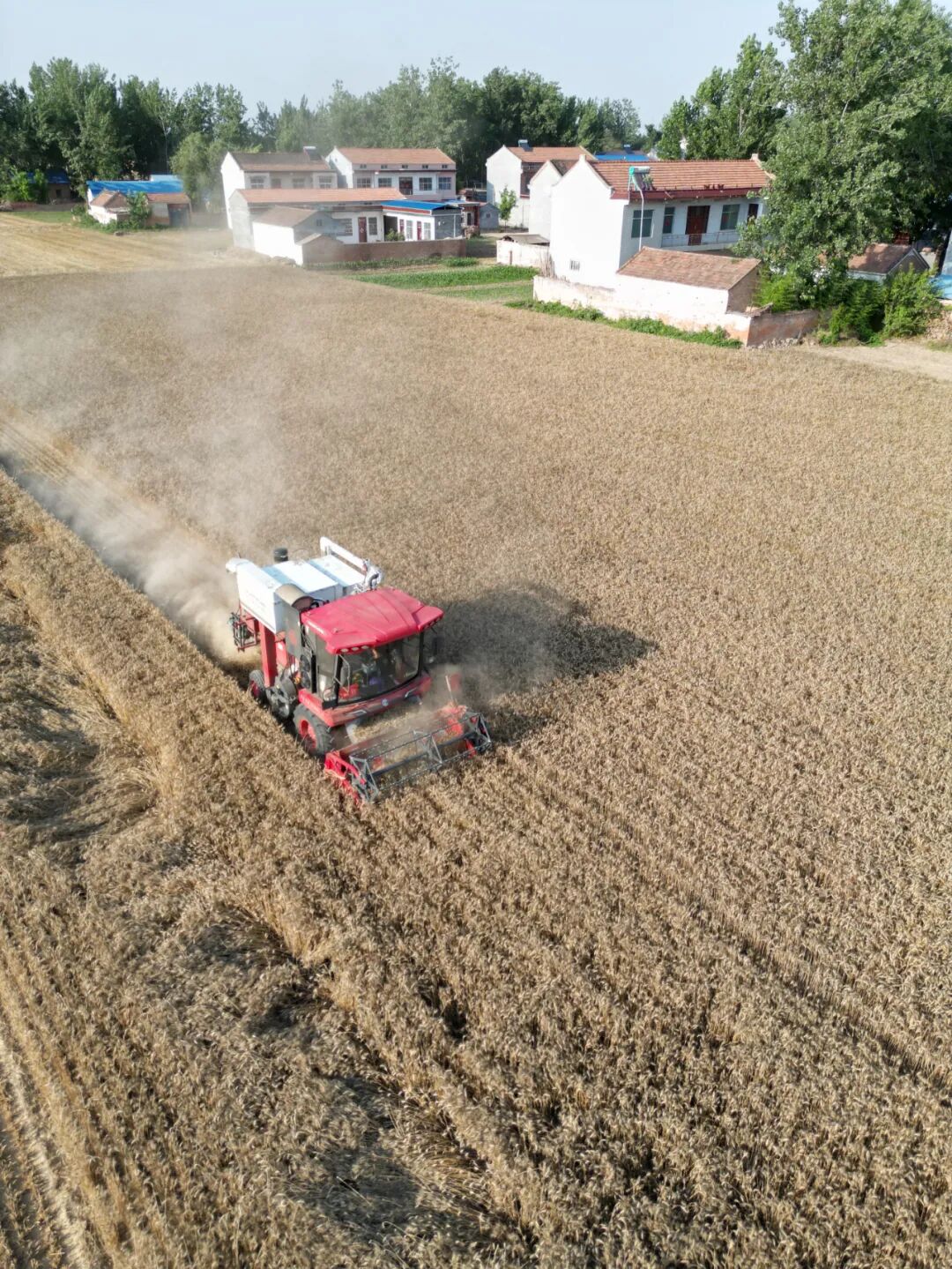 30年只做一件事:為什么越來(lái)越多農(nóng)機(jī)手認(rèn)準(zhǔn)「中聯(lián)收獲」?(圖6)