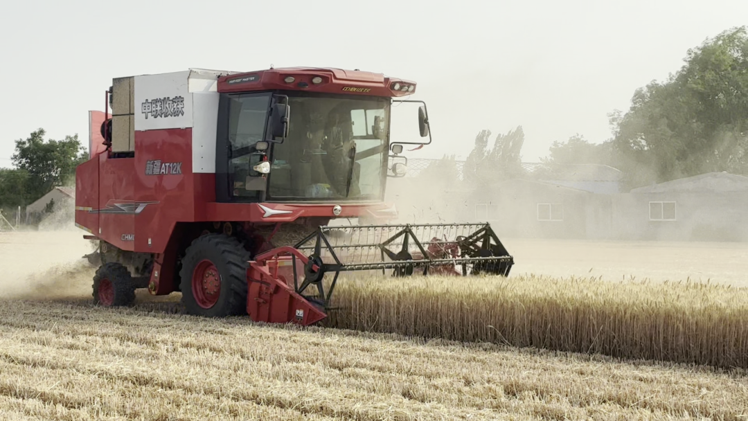 30年只做一件事:為什么越來(lái)越多農(nóng)機(jī)手認(rèn)準(zhǔn)「中聯(lián)收獲」?(圖8)